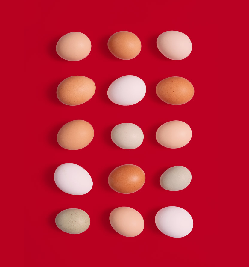 different color eggs on red background